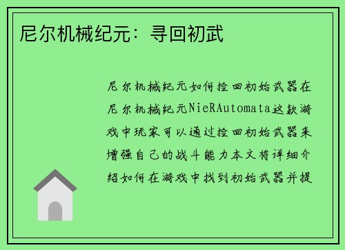 尼尔机械纪元：寻回初武