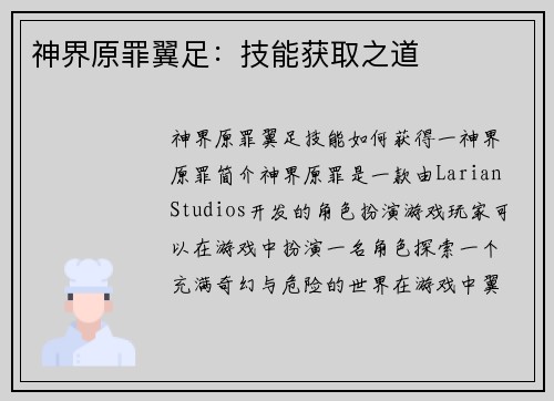 神界原罪翼足：技能获取之道